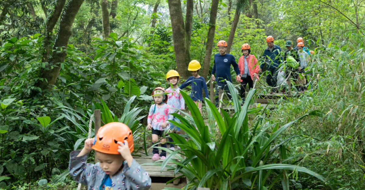 Sàn đạo gỗ dài 999m xuyên rừng nguyên sinh (Ảnh: Ozo Park Quảng Bình)