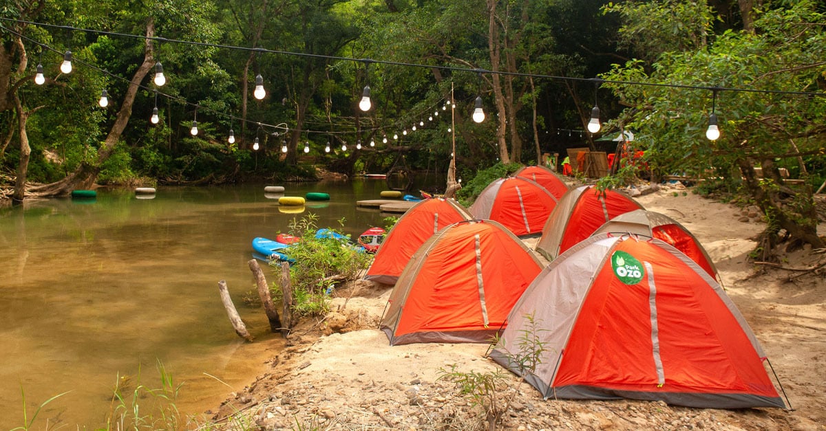 Cắm trại giữa rừng nguyên sinh (Ảnh: Ozo Park Quảng Bình)