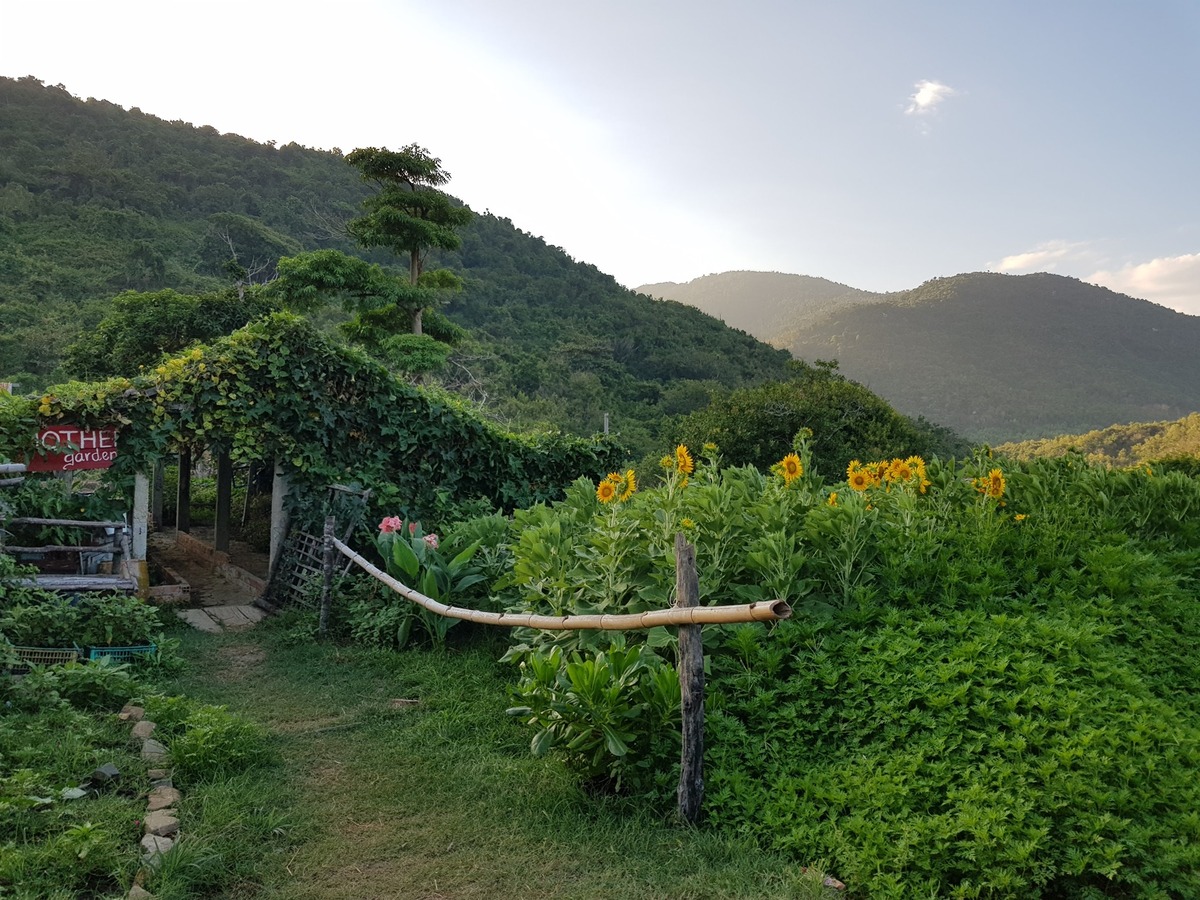 Không gian xanh mãi yên bình (Nguồn: B&U Farm)