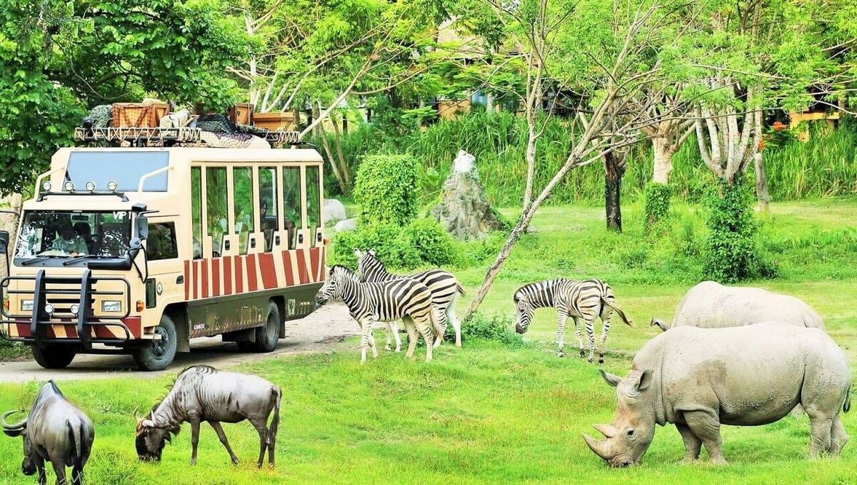 Các loài động vật trong FLC Zoo Safari Park (Nguồn: Internet)