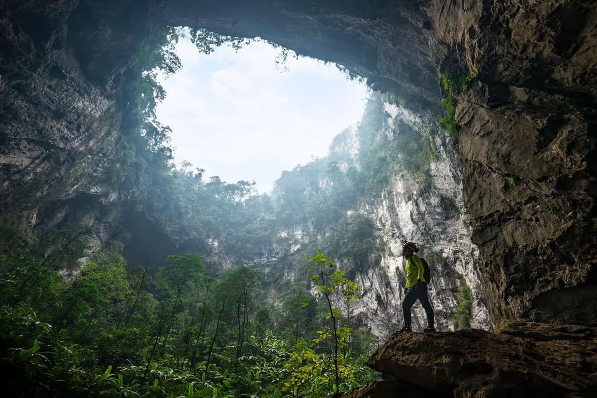 Rừng nguyên sinh trong hang được hình thành ở khu vực Hố Sụt 2 (Ảnh: Oxalis Adventure)