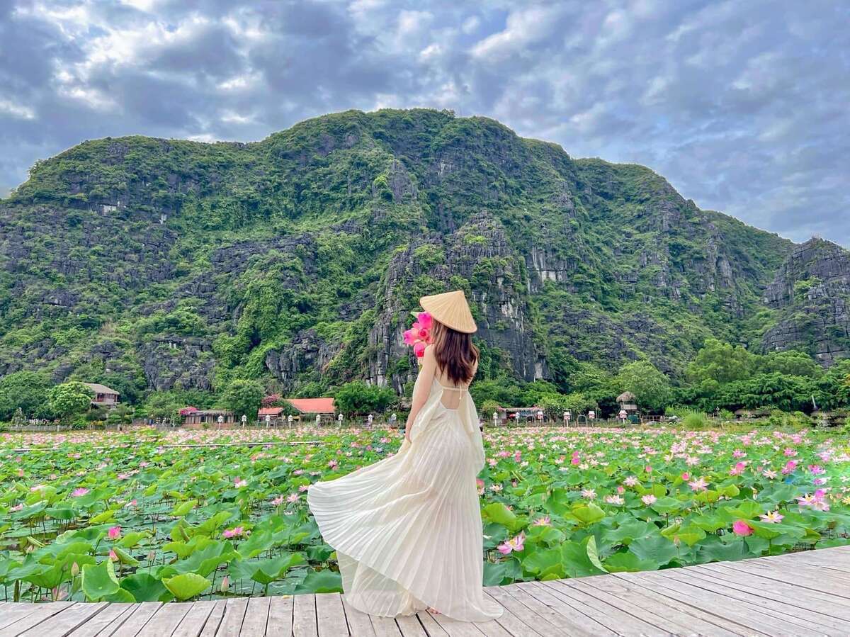 Chiêm ngưỡng mùa sen trắng nở rộ tuyệt đẹp ở 'Vạn Lý Trường Thành thu nhỏ' của Việt Nam - ảnh 1