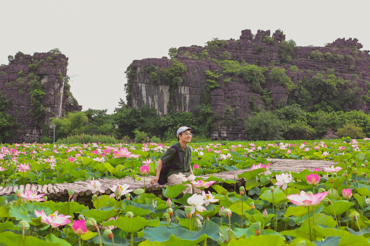 Chiêm ngưỡng mùa sen trắng nở rộ tuyệt đẹp ở 'Vạn Lý Trường Thành thu nhỏ' của Việt Nam - ảnh 2