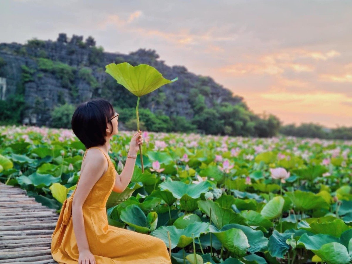 Chiêm ngưỡng mùa sen trắng nở rộ tuyệt đẹp ở 'Vạn Lý Trường Thành thu nhỏ' của Việt Nam - ảnh 3