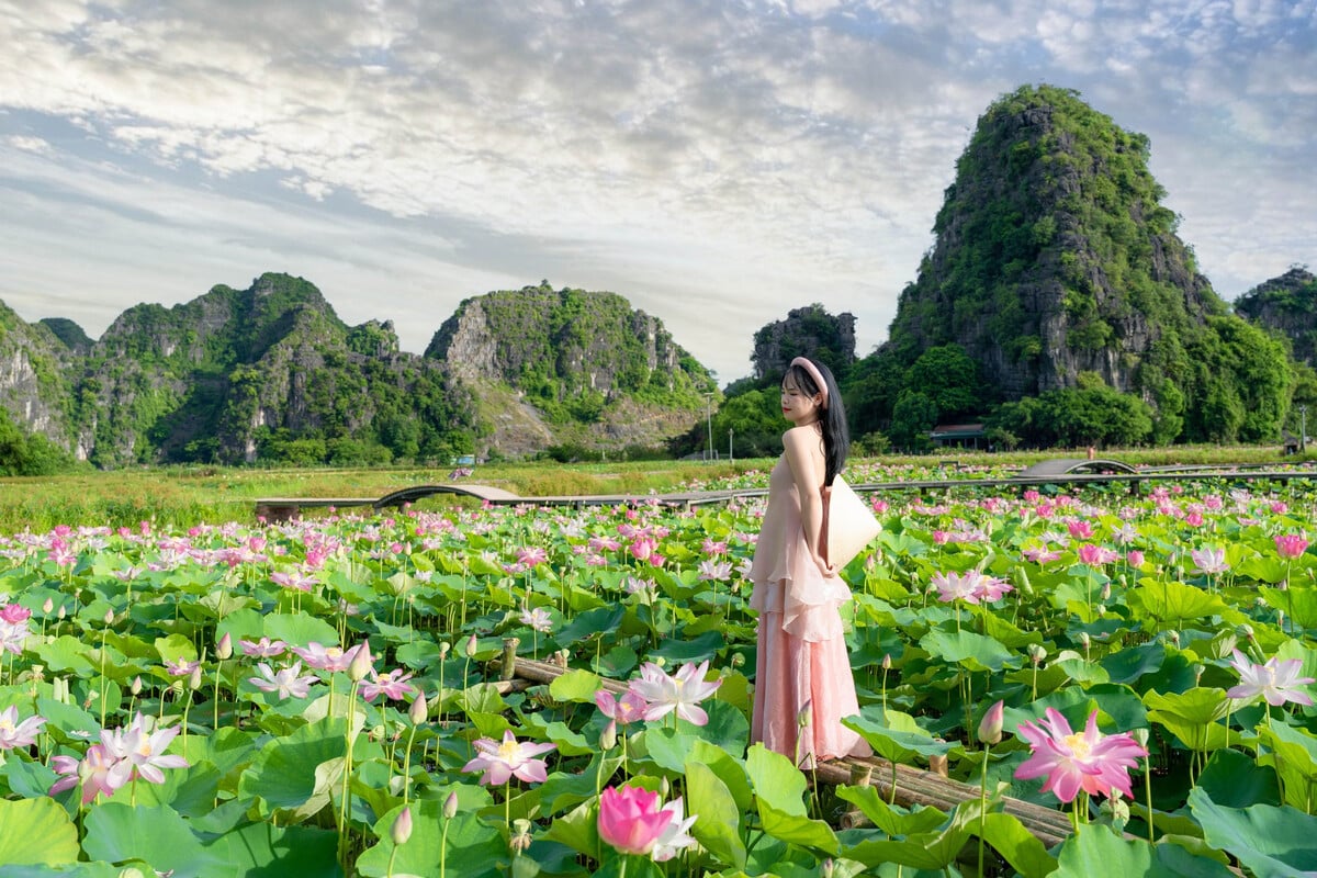 Chiêm ngưỡng mùa sen trắng nở rộ tuyệt đẹp ở 'Vạn Lý Trường Thành thu nhỏ' của Việt Nam - ảnh 6