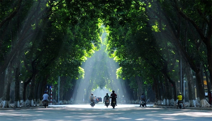 Phố Phan Đình Phùng. (Ảnh: Internet)