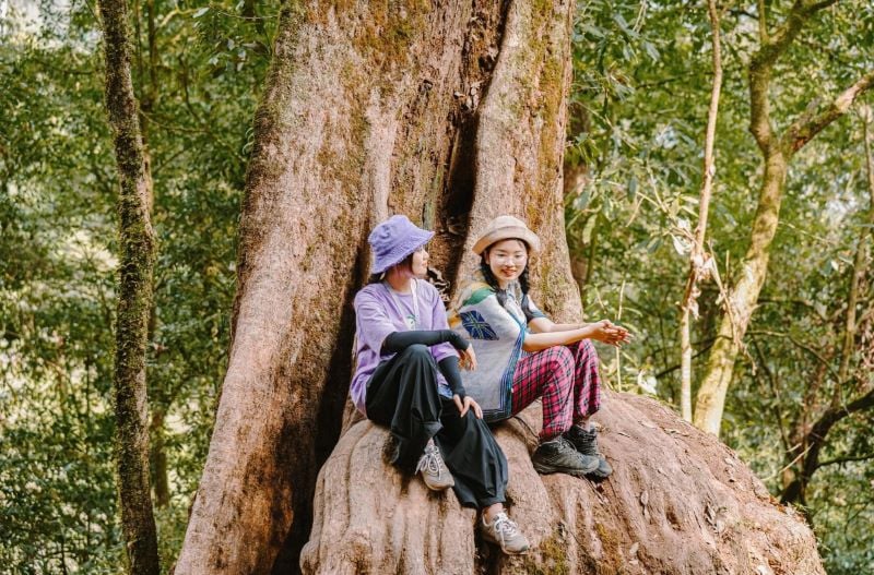 Trải nghiệm trekking và ngắm cảnh (Ảnh: Internet)