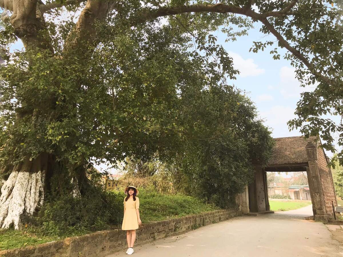 Làng cổ Đường Lâm là một trong những địa điểm hấp dẫn ở ngoại thành Hà Nội. (Ảnh: Internet)