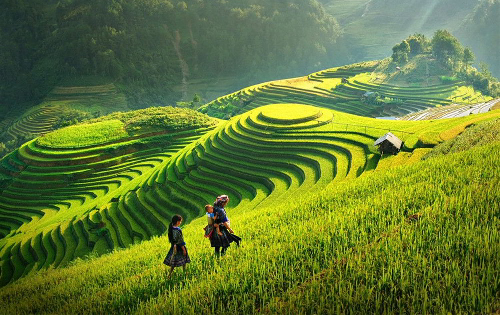 Bức tranh yên bình mà nơi đây mang lại (Ảnh: Internet)
