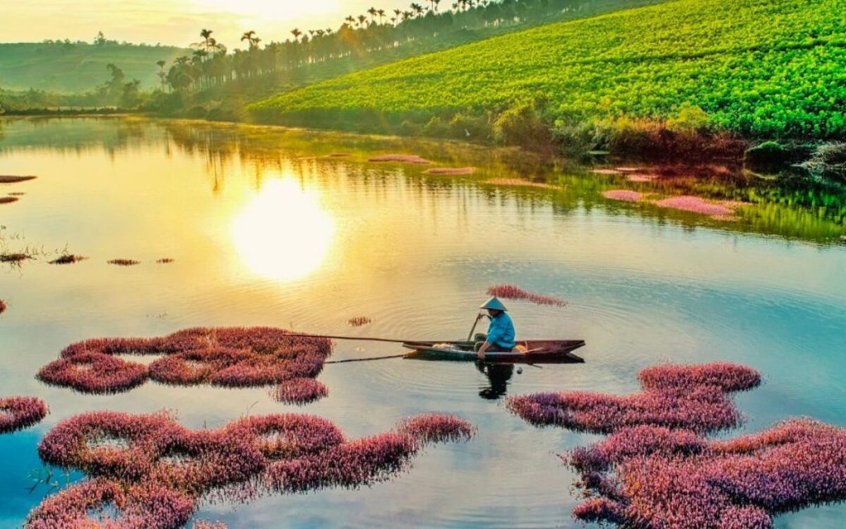 Hồ Tảo Hồng
