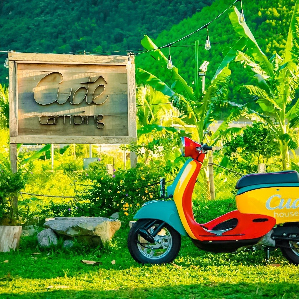 Cu Đê Camping: Điểm cắm trại lý tưởng ở ngoại ô Đà Nẵng - ảnh 1