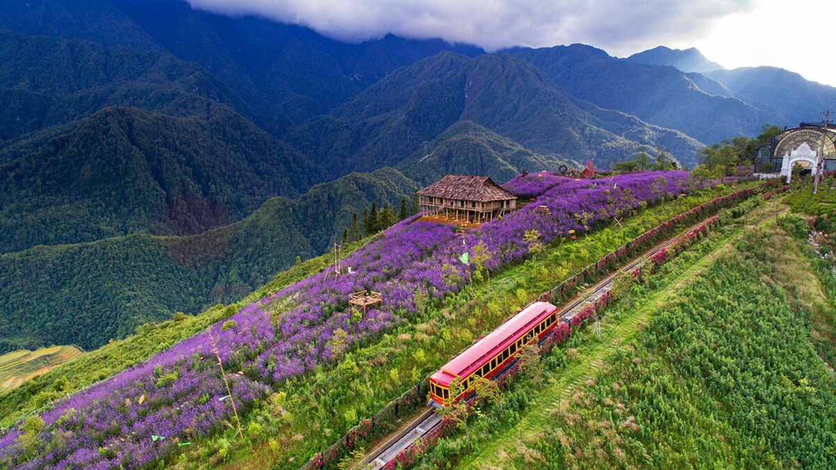 Du lịch Sapa hè 2025: Top những nơi đẹp nhất nên đi - ảnh 1