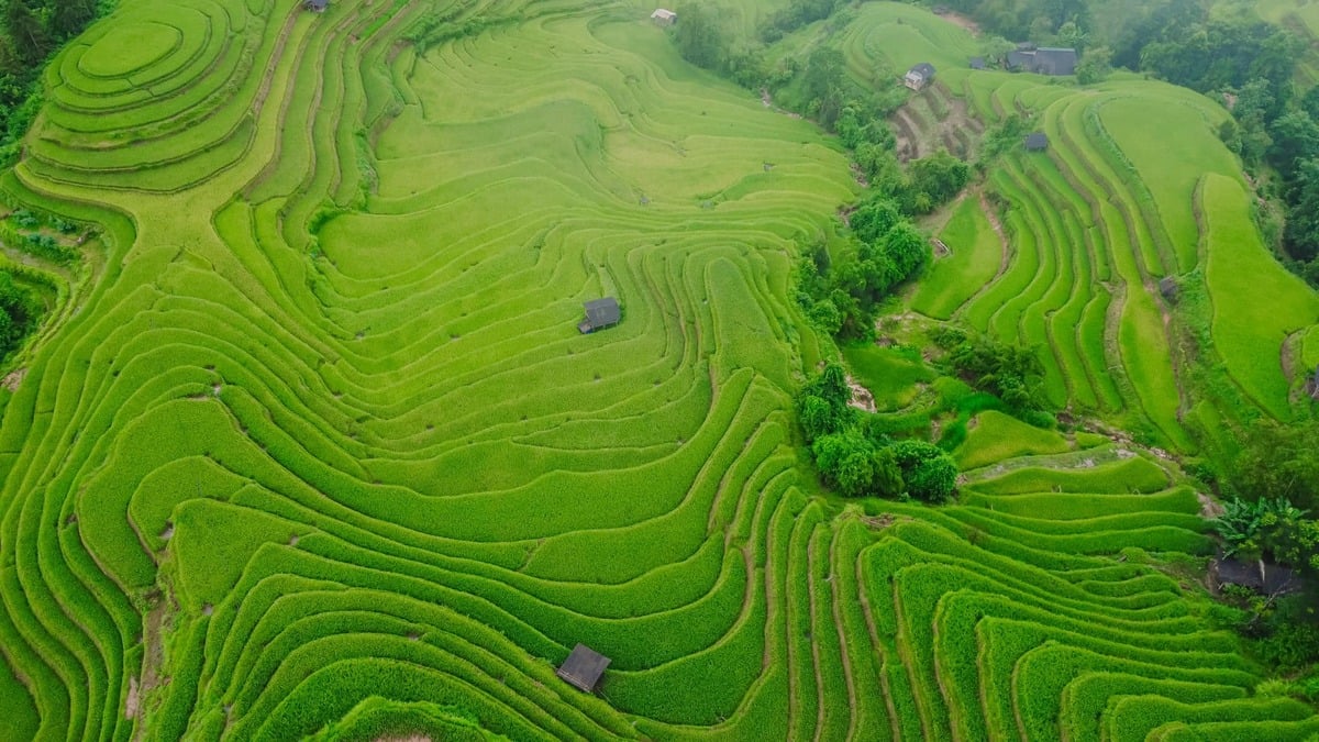 Hoàng Su Phì đi tháng mấy đẹp nhất? - ảnh 2