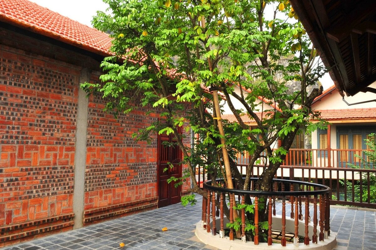 Top 8 homestay Ninh Bình view núi non, đồng lúa đẹp như tranh 2025 - ảnh 3