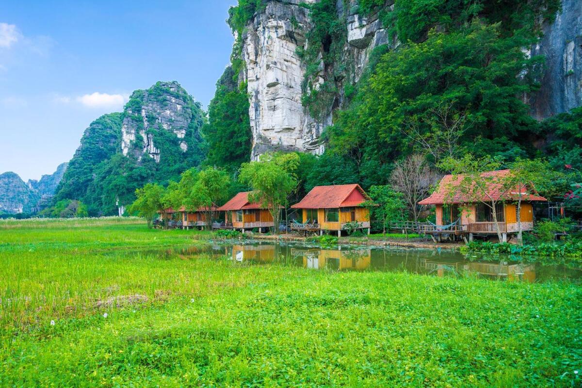 Top 8 homestay Ninh Bình view núi non, đồng lúa đẹp như tranh 2025 - ảnh 5