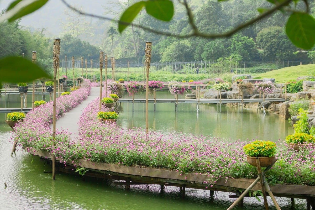 Ảnh: Khu du lịch sinh thái Thung Nham - Ninh Bình