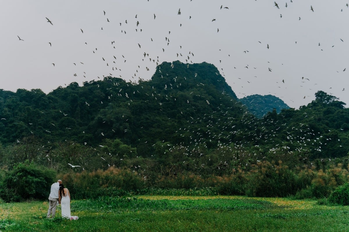 Ảnh: Khu du lịch sinh thái Thung Nham - Ninh Bình