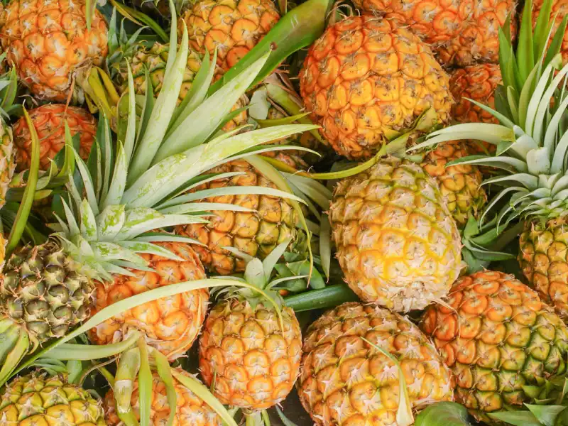 Top 5 đặc sản Tam Đảo nức tiếng gần xa mang về làm quà - ảnh 2