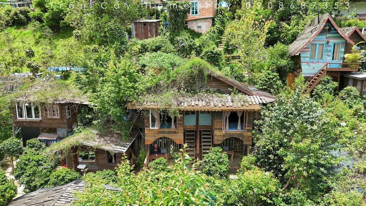 Phong cảnh bên ngoài homestay (Ảnh: Cú Trên Cây Homestay)