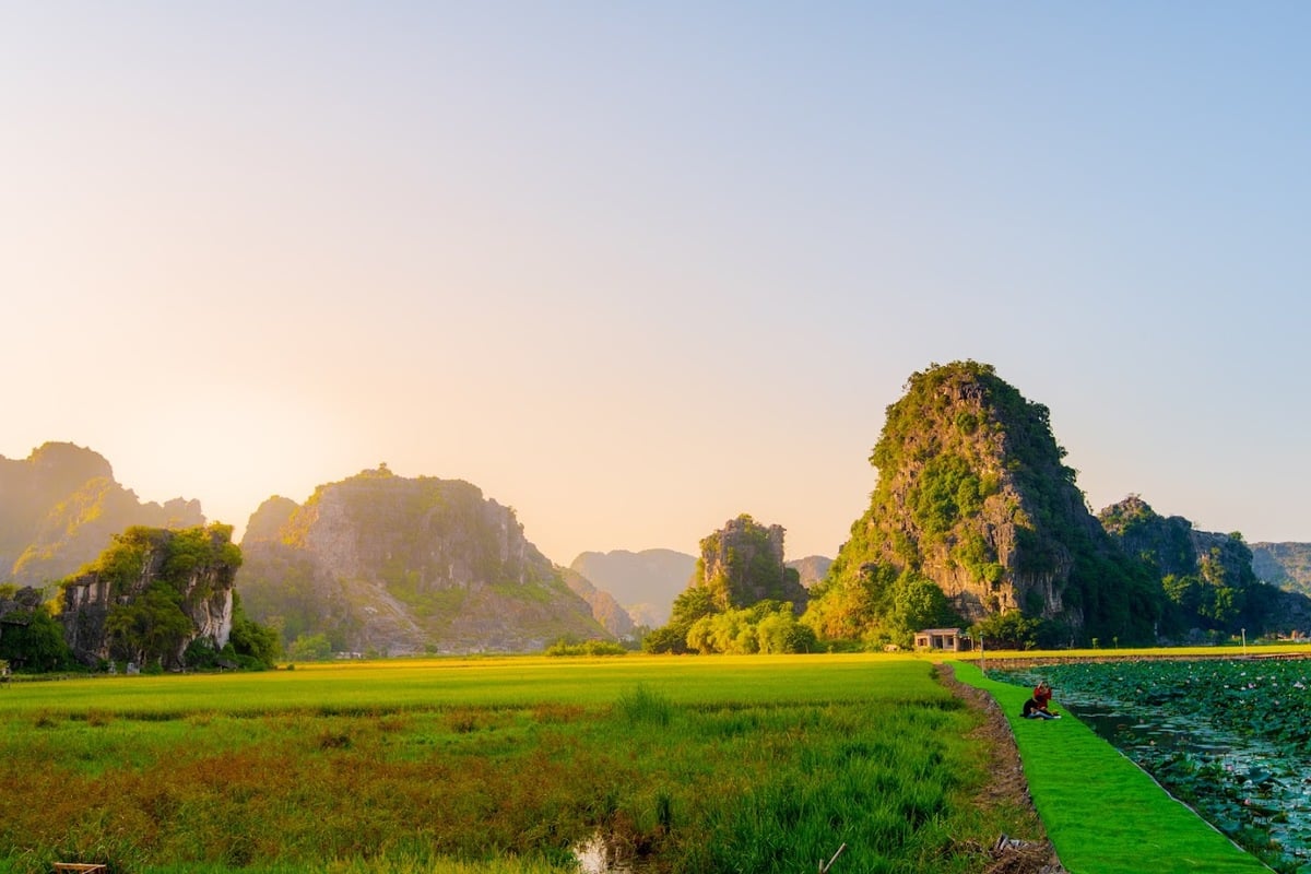 Kinh nghiệm du lịch Ninh Bình hè 2025: Khám phá “Vịnh Hạ Long trên cạn” mùa sen nở và lúa xanh - ảnh 2