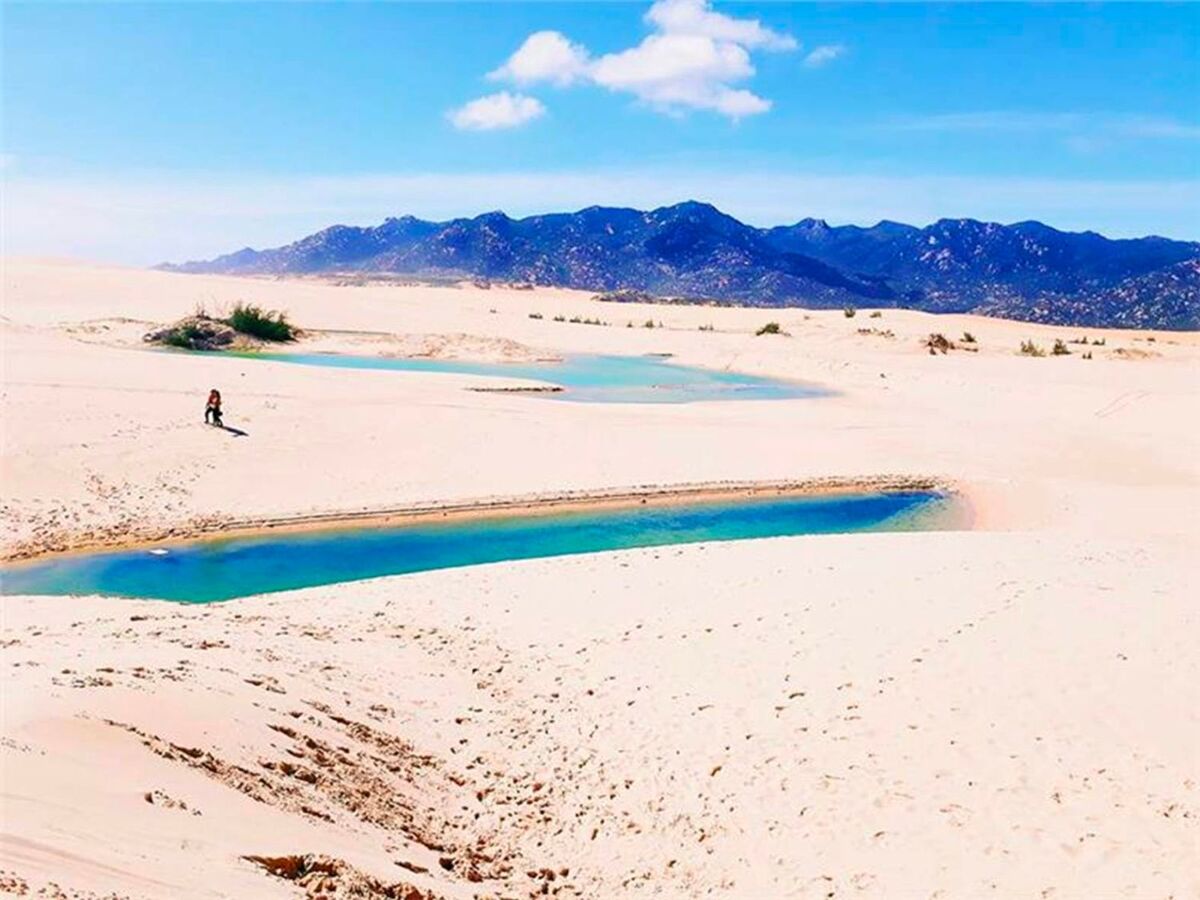 Kinh nghiệm du lịch Ninh Thuận hè 2025: Khám phá trọn vẹn xứ sở nắng và gió - ảnh 2
