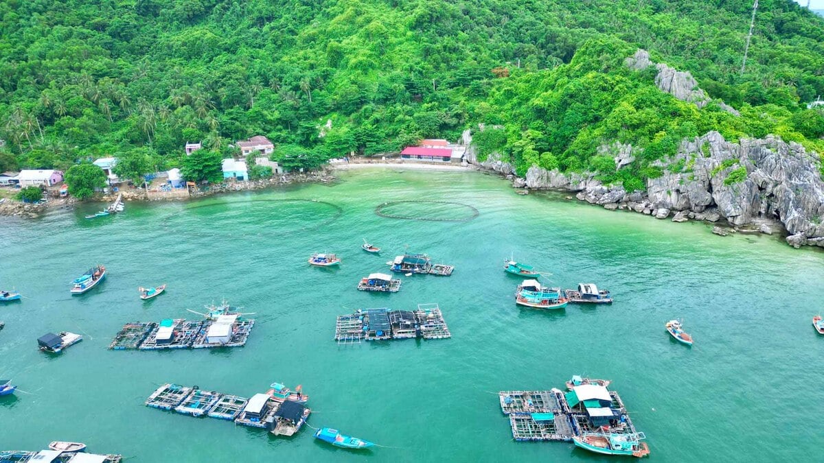 Hòn Nghệ ở đâu Kiên Giang? Có đẹp không? - ảnh 4