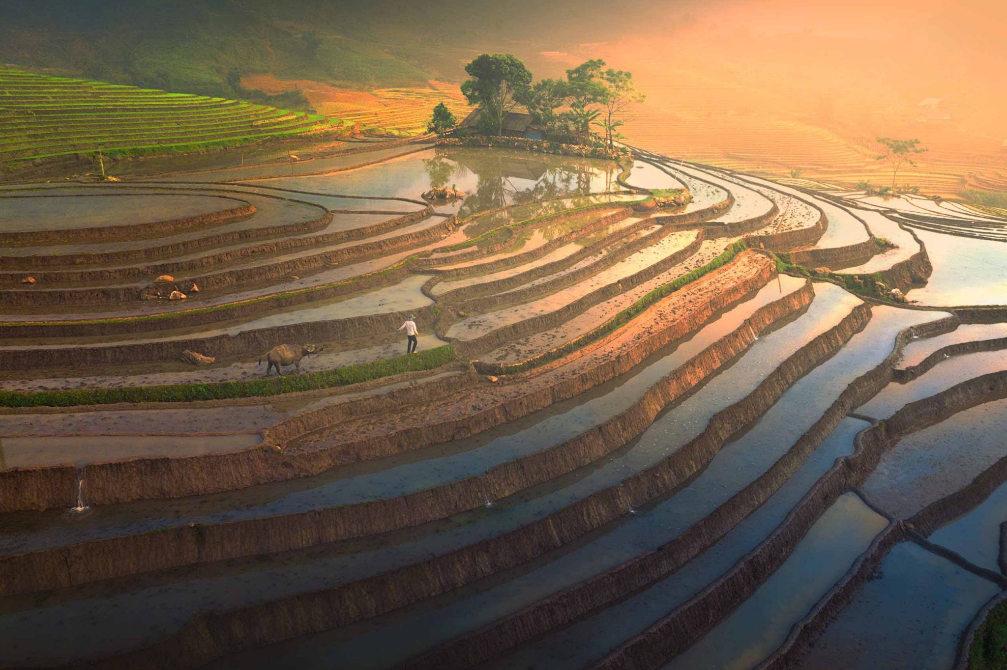 Nước tràn ngập mặt ruộng phản chiếu ánh mặt trời (Ảnh: NAG Trần Tiến Dũng)