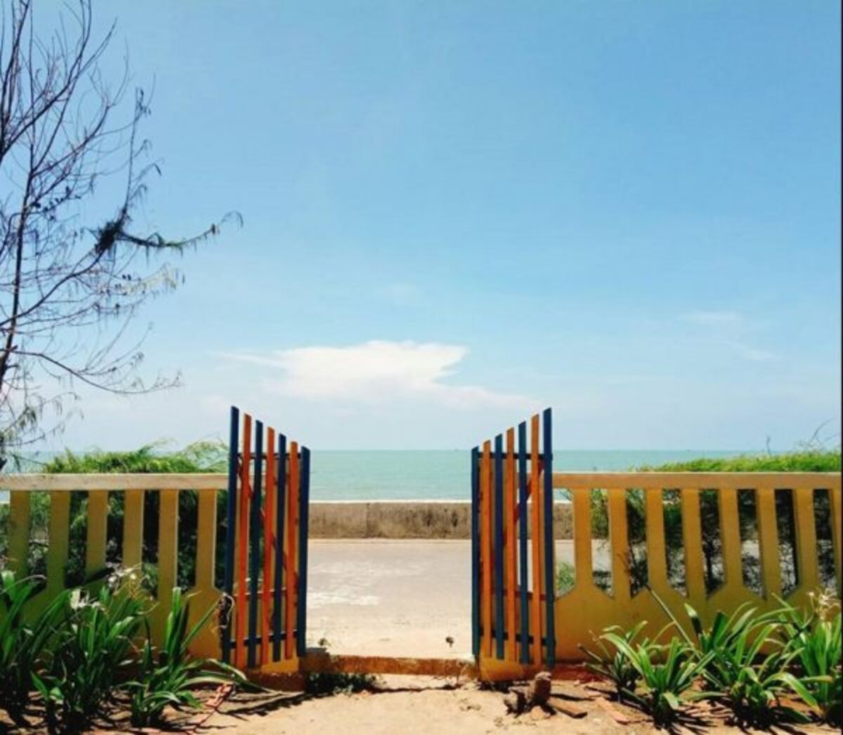 Đến Zenna Pool Camp du khách có thể tắm biển thư giãn (Ảnh: Go2Joy)