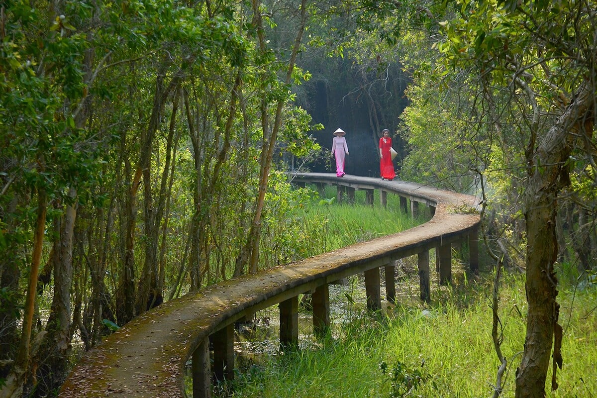 Du lịch sáng đi chiều về gần Sài Gòn: 5 điểm đến đẹp, lý tưởng nhất hè 2025 - ảnh 3