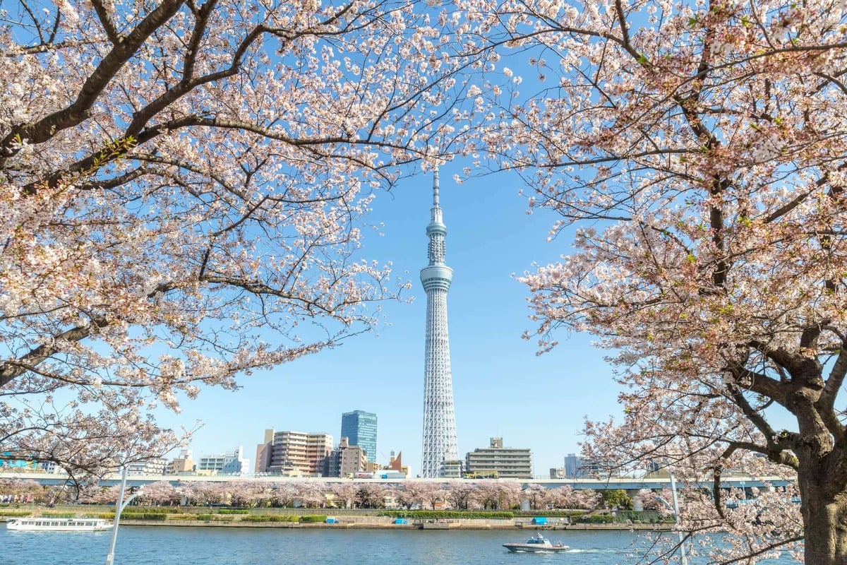 Tháp Skytree. (Ảnh: Internet)