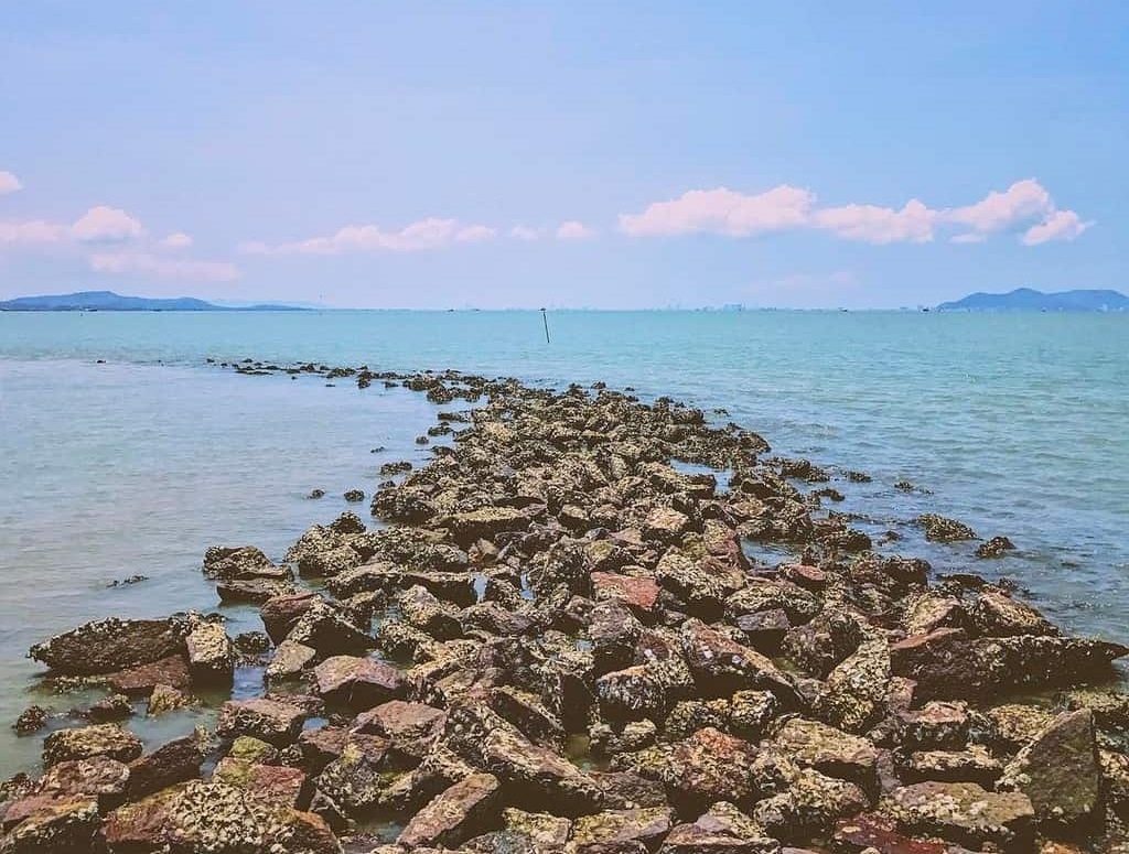 TP.HCM có bao nhiêu km bờ biển? - ảnh 1