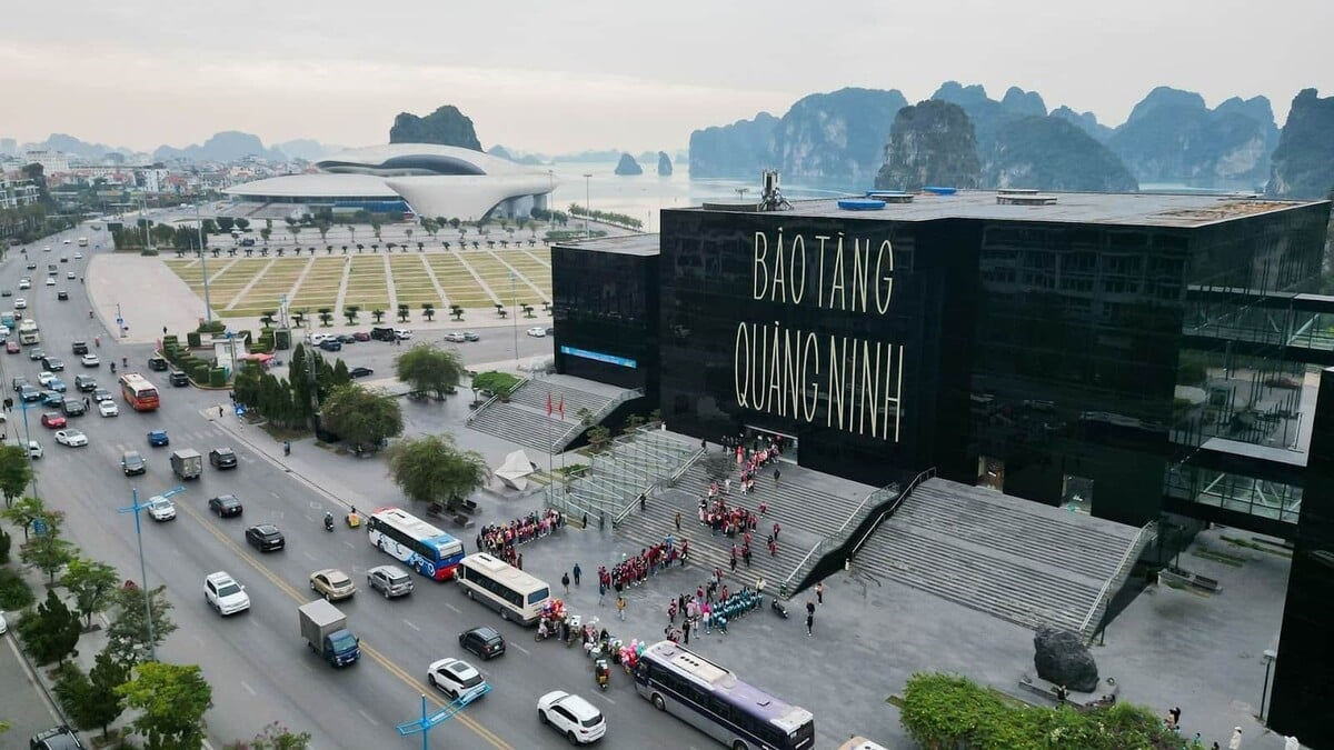 5 điểm đến lý tưởng nhất Hạ Long cho người đi du lịch một mình hè 2025 - ảnh 1