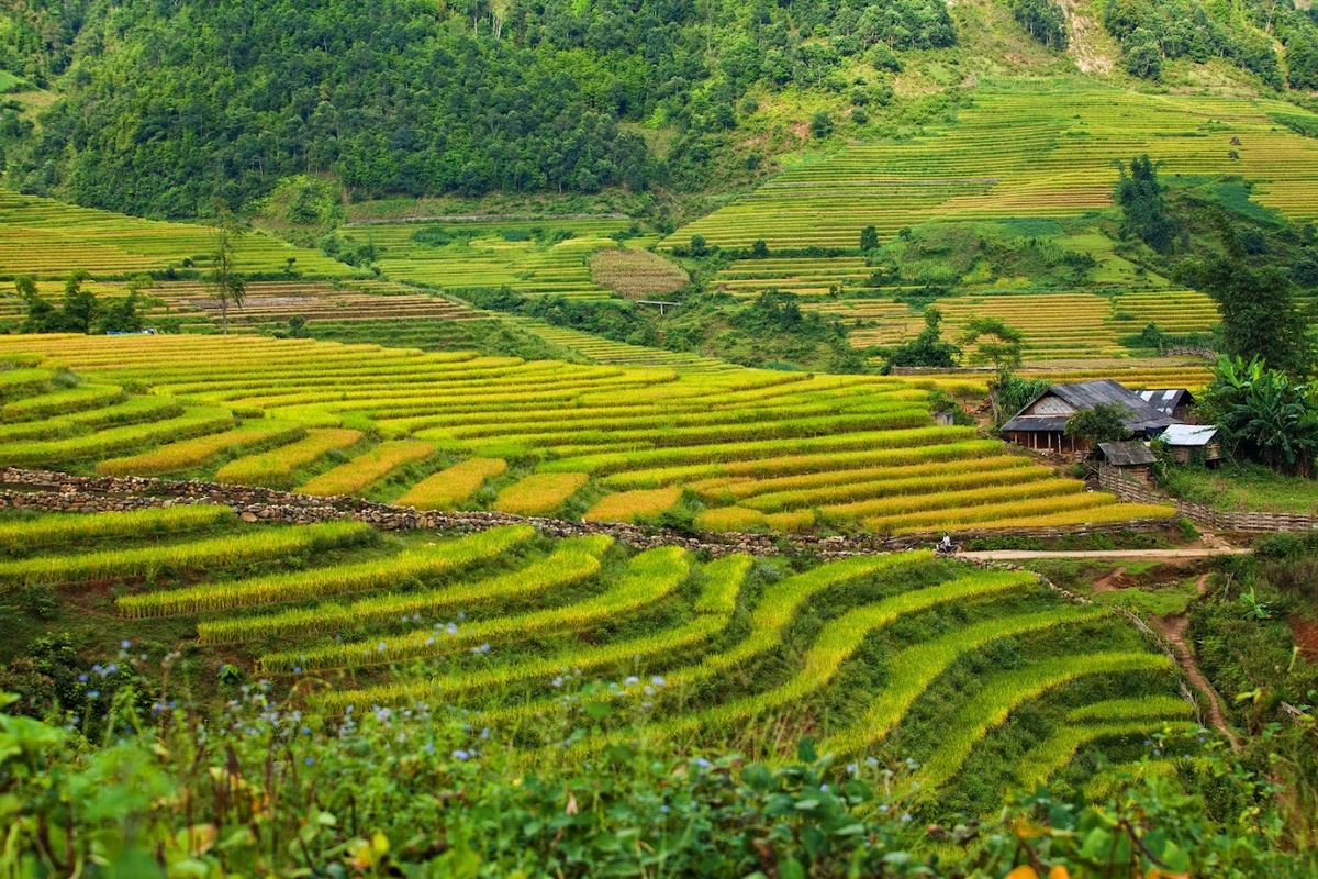 Top 7 địa điểm du lịch 2 ngày 1 đêm gần Hà Nội phổ biến nhất cho cặp đôi - ảnh 1