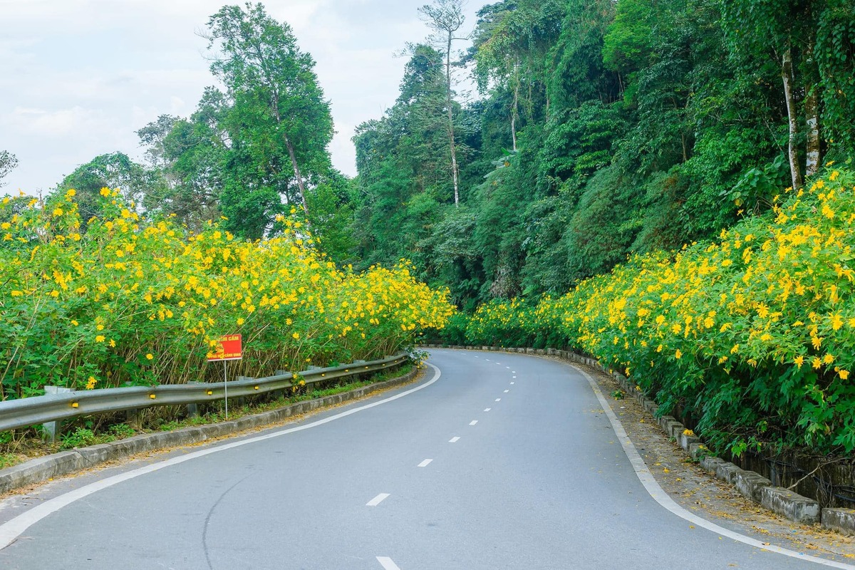 Top 7 địa điểm du lịch 2 ngày 1 đêm gần Hà Nội phổ biến nhất cho cặp đôi - ảnh 3