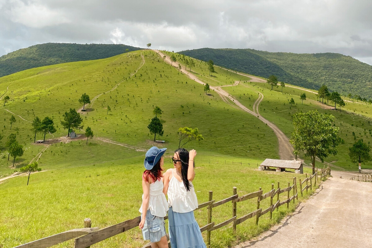 Phượng Hoàng cỏ xanh. (Ảnh: Huyềnn)