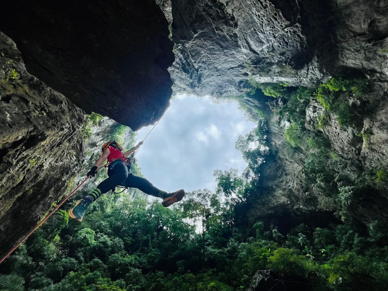 Hệ sinh thái bên trong hố sụt Kong (Ảnh: Hien Phuong)