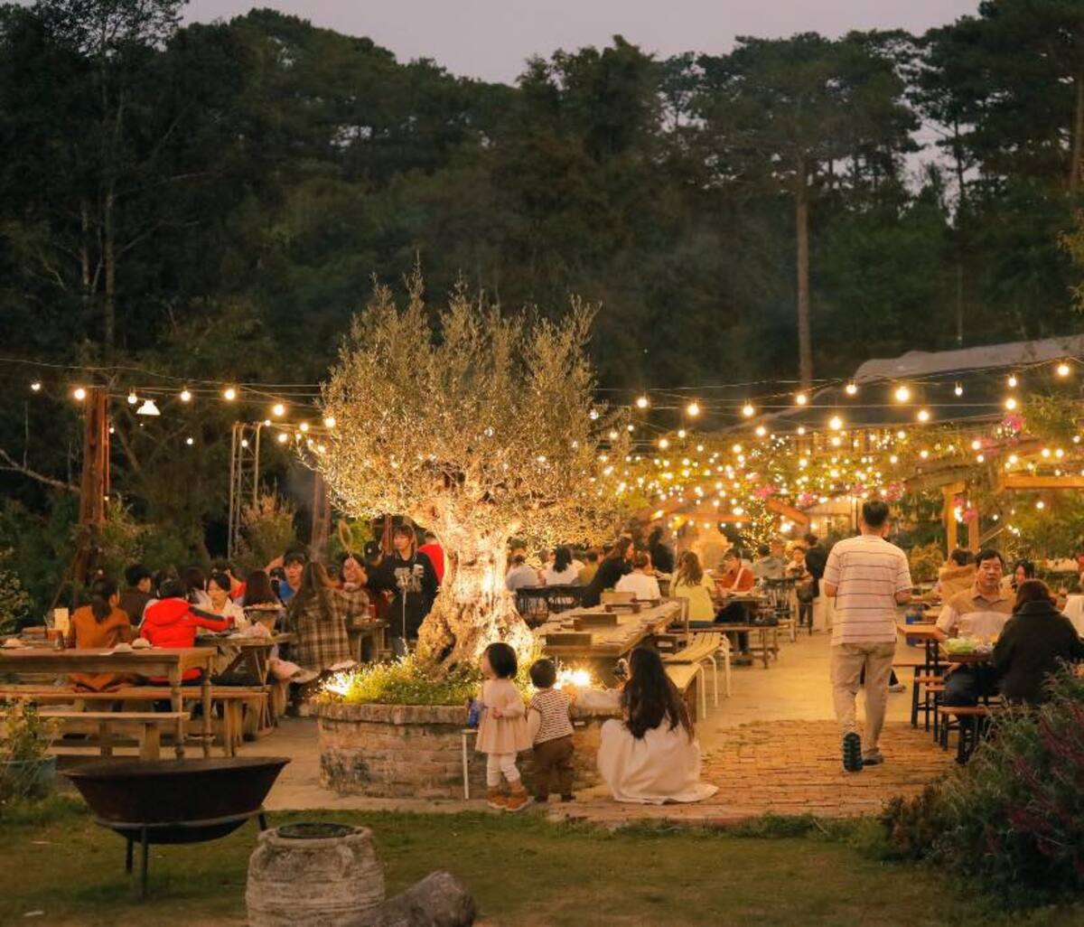 Túi Mơ To Garden Restaurant là một nhà hàng mang đậm chất thơ giữa lòng Đà Lạt (Ảnh: Túi Mơ To Garden Restaurant)