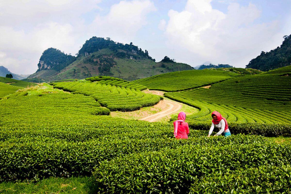Tháng 6 nên đi du lịch ở đâu miền Bắc? - ảnh 5