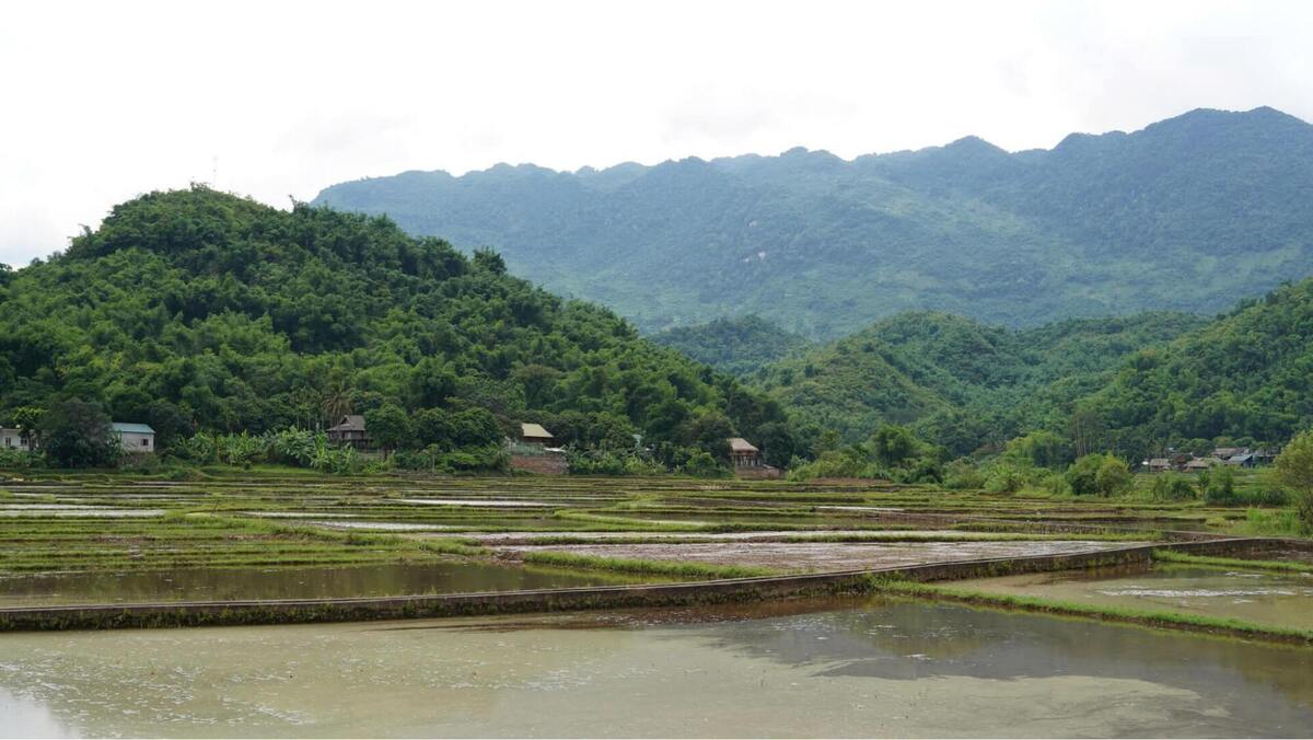 Khám phá Bản Nhót: Nét đẹp bình yên của thung lũng Mai Châu - ảnh 4