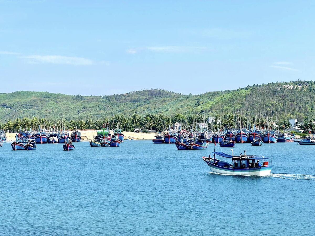Say đắm biển Hoài Hải: 'Viên ngọc' ẩn mình giữa miền đất võ Bình Định - ảnh 2