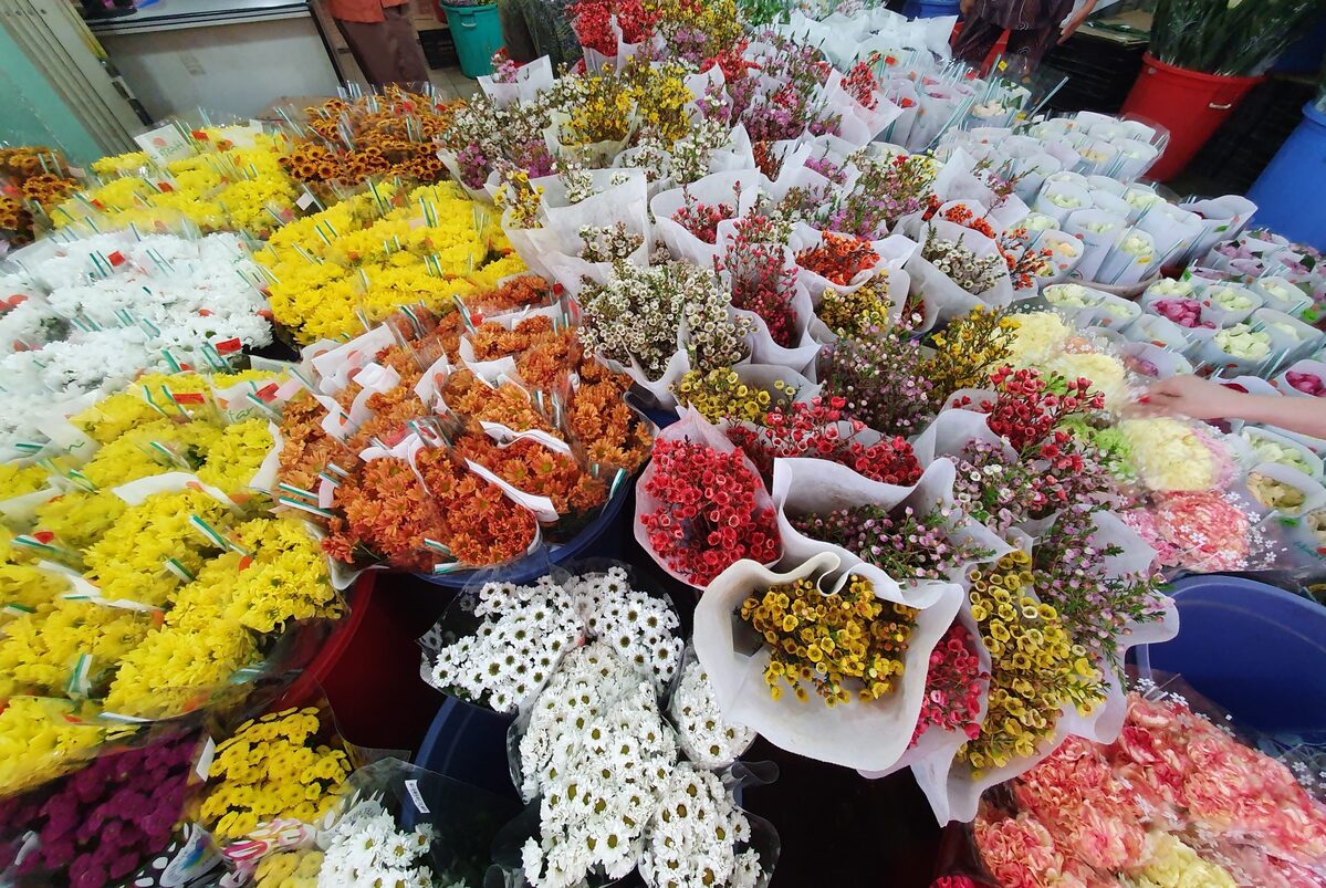 Chợ hoa Hồ Thị Kỷ: Thiên đường sắc màu giữa lòng Sài Gòn - ảnh 1