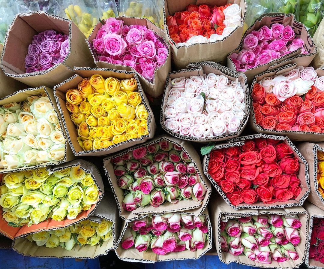 Chợ hoa Hồ Thị Kỷ: Thiên đường sắc màu giữa lòng Sài Gòn - ảnh 2