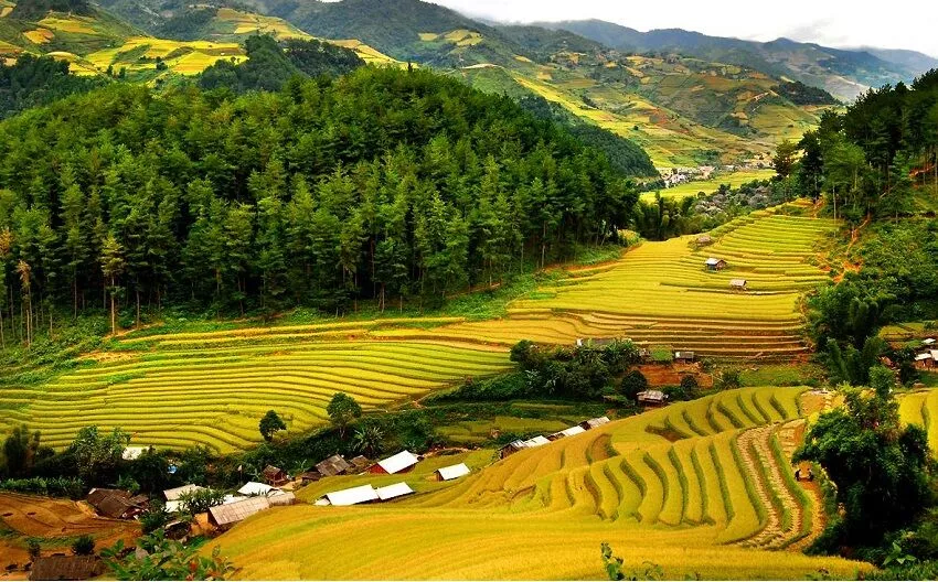 Khung cảnh thơ mộng và yên bình (Ảnh: Internet)