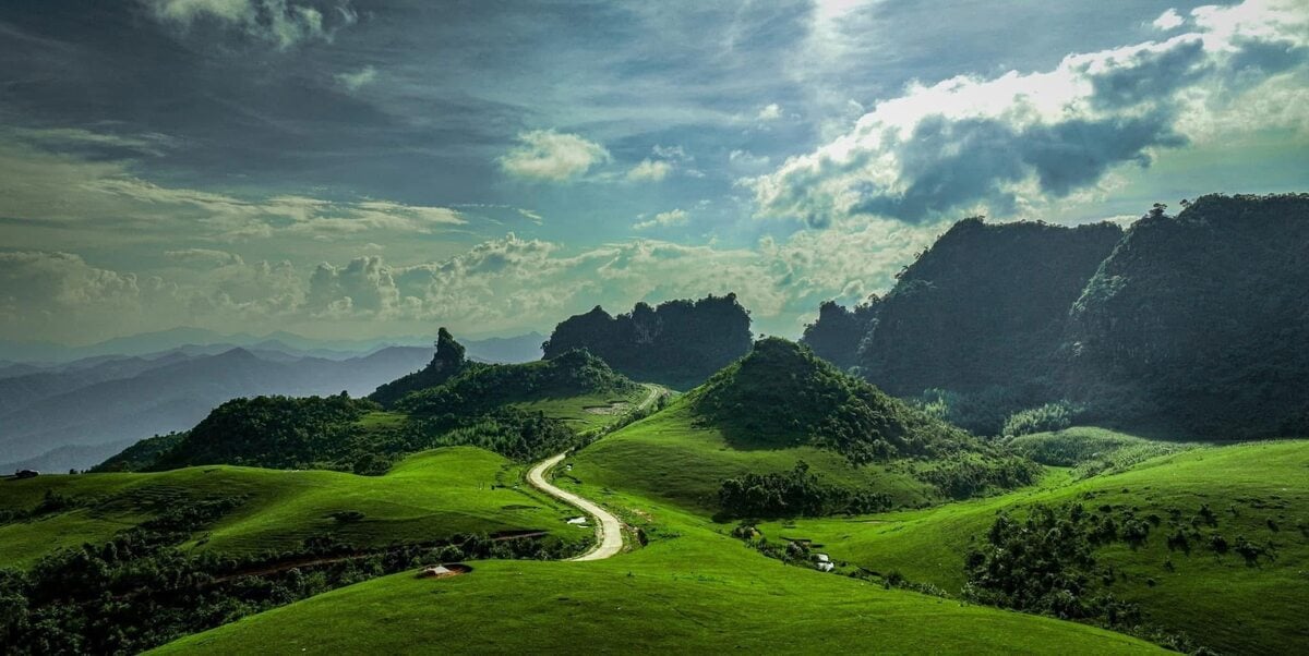 Chiêm ngưỡng Đồi cỏ Phan Thanh - Nguyên Bình tuyệt đẹp ở Cao Bằng - ảnh 1