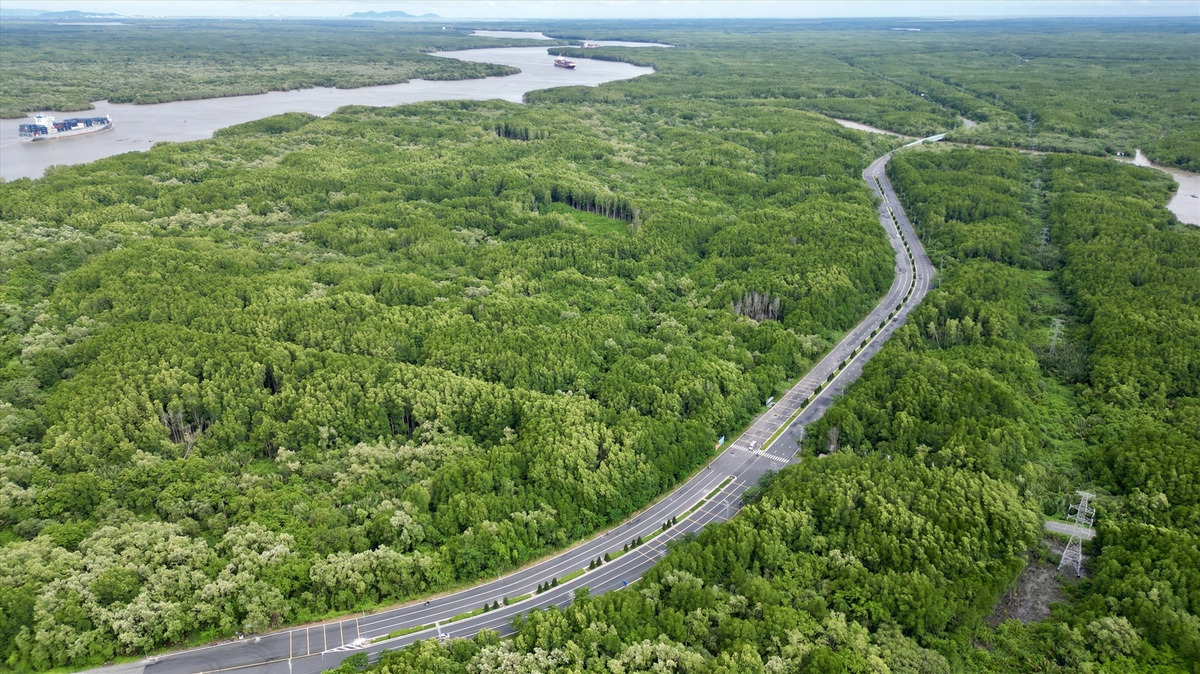 Cần Giờ cách trung tâm TP.HCM khoảng 50km. (Ảnh: Internet)