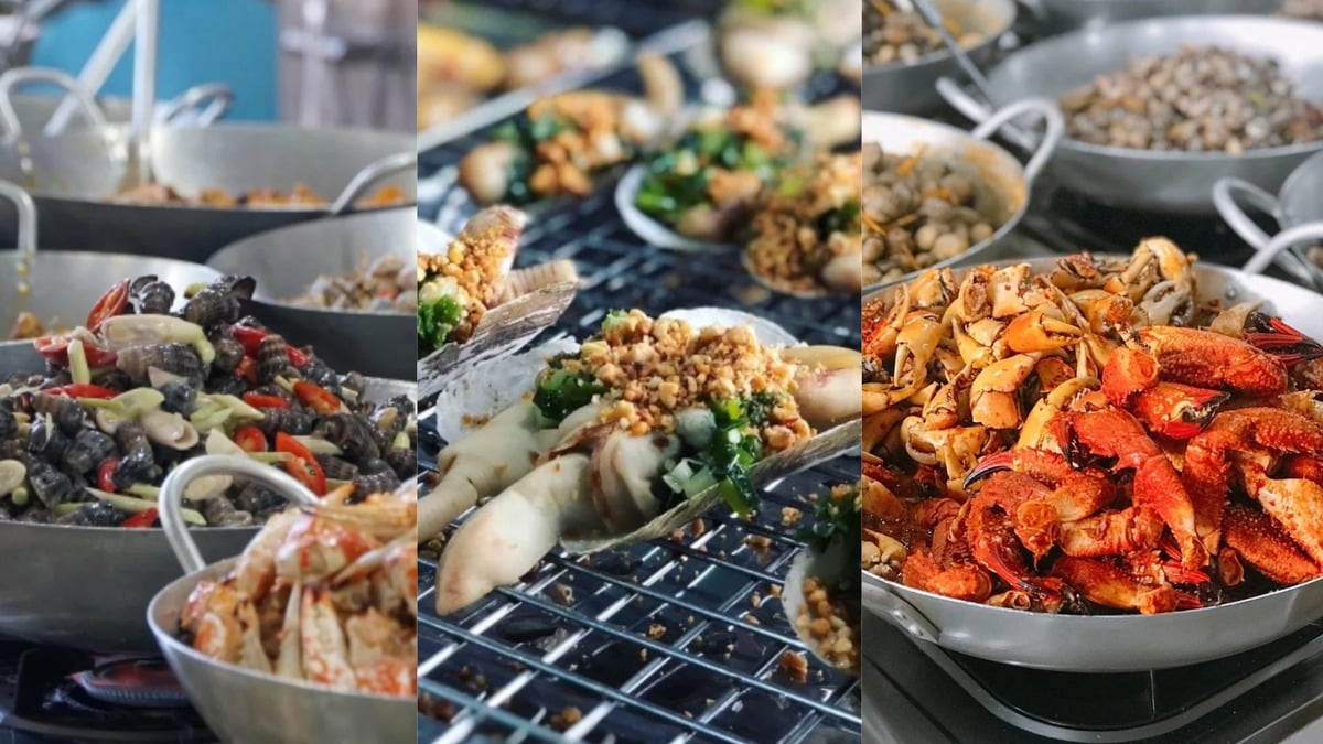 Cẩm nang du lịch Cần Giờ: Tất tần tật kinh nghiệm khám phá 'ốc đảo xanh' của Sài Gòn - ảnh 4