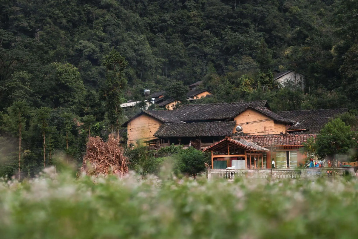 Tham quan Làng Sủng Là: “Đoá hồng” của cao nguyên đá Hà Giang - ảnh 1