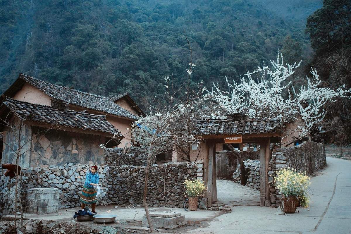 Tham quan Làng Sủng Là: “Đoá hồng” của cao nguyên đá Hà Giang - ảnh 2