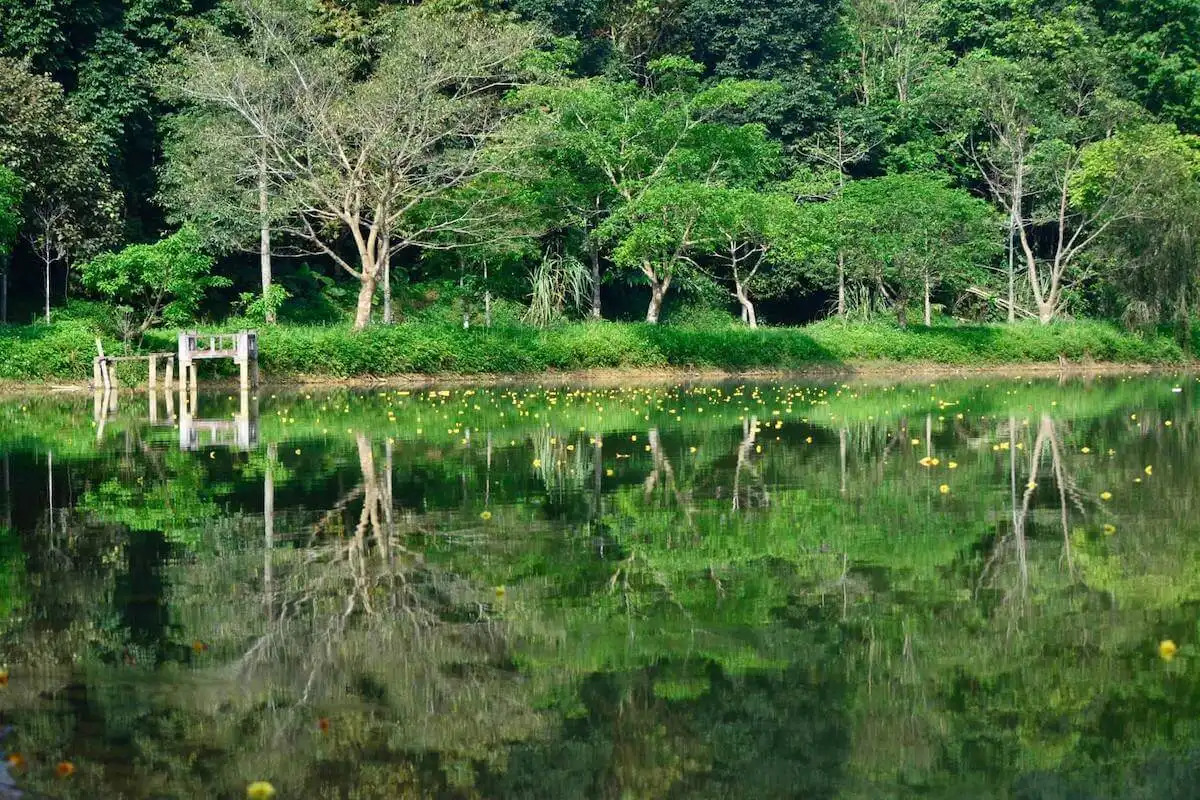 Top 5 trải nghiệm thú vị nhất khi du lịch Ninh Bình hè 2025 - ảnh 4