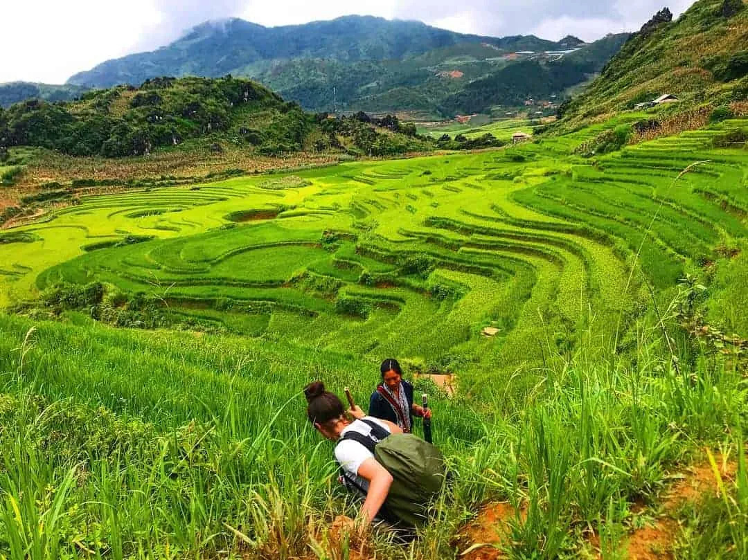 Top 6 trải nghiệm thú vị nhất khi du lịch Sapa hè 2025 - ảnh 1